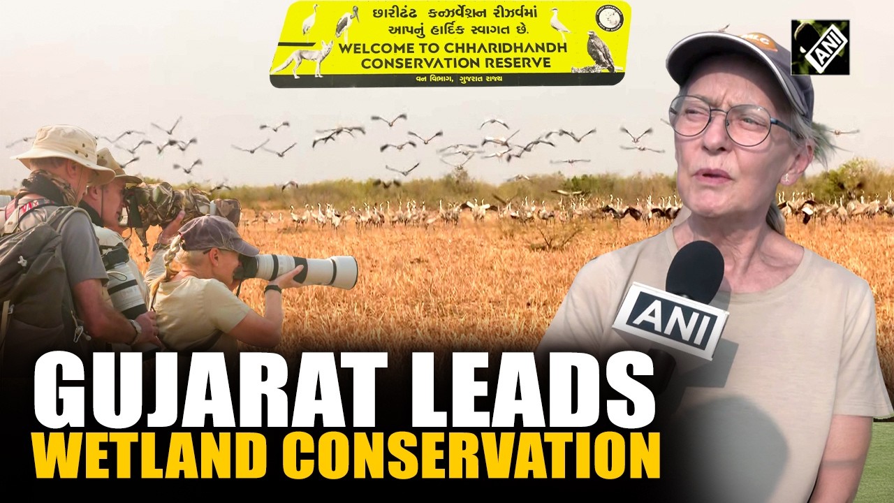 Gujarat’s Chhari-Dhandh Gets Ramsar Tag, Boosts Wetland Conservation
