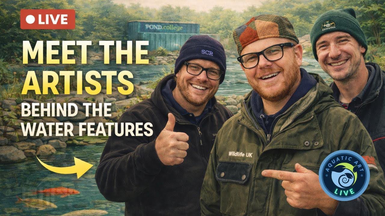 🔴 LIVE | Meet the Artists Behind the Water Features