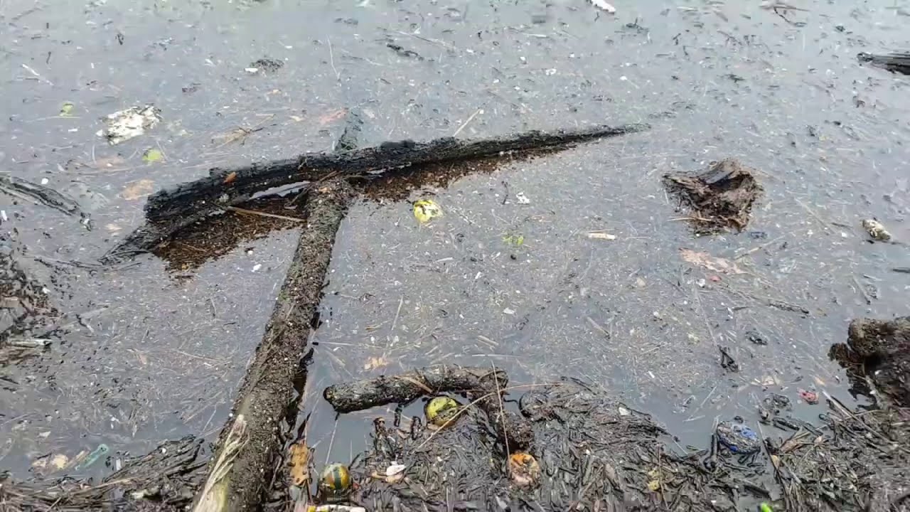 Австралия Сидней. Жесть нашего городка.Докатились до ручки.Элла Австралия