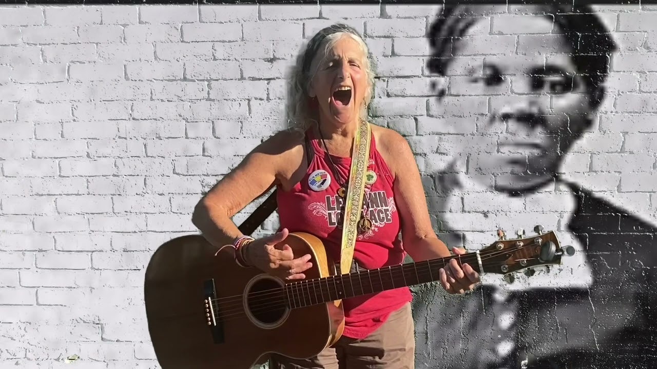 Harriet Tubman  an  original song by Terri Lachance and video by ElVee. 