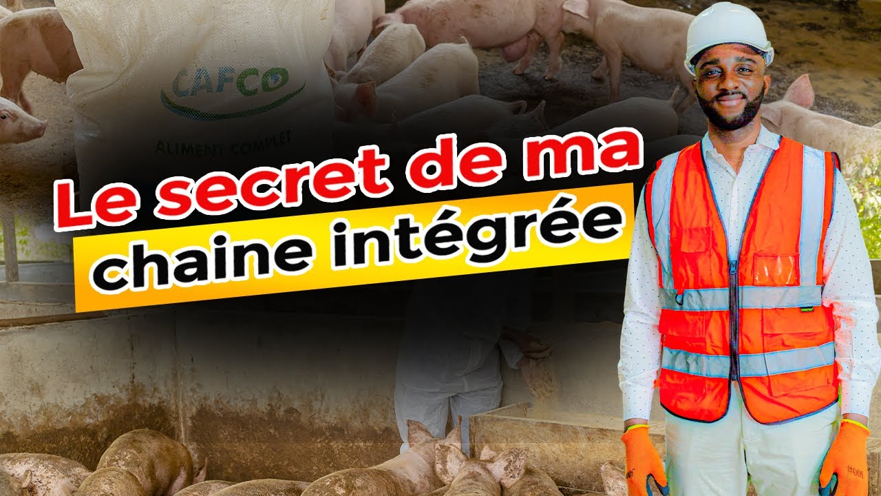 D’un simple élevage à une chaîne intégrée rentable