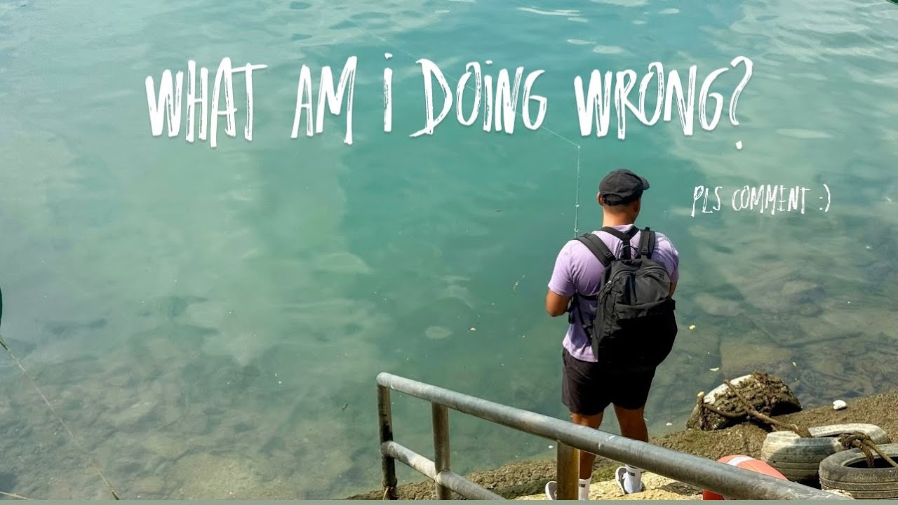 Harbor Fishing Adventure Gone Wrong! Fishing Experts Please Comment how to fish..