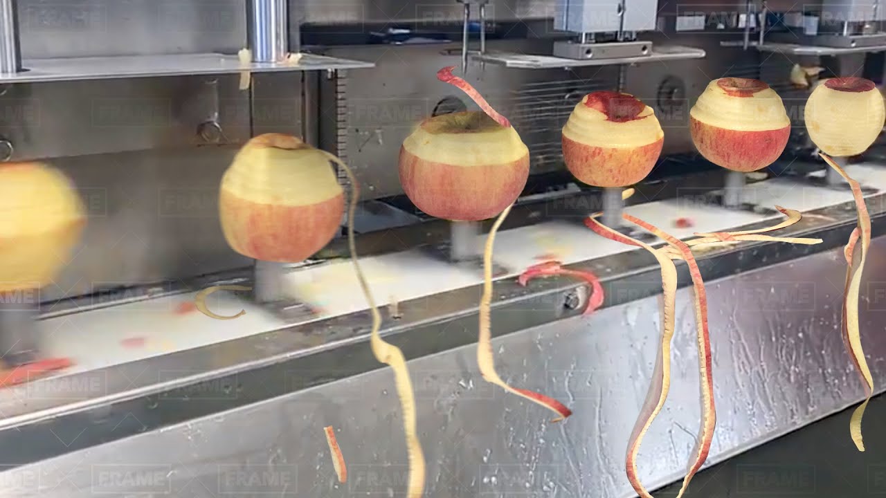 Inside Massive Apple and Juice Harvesting and Processing Factory