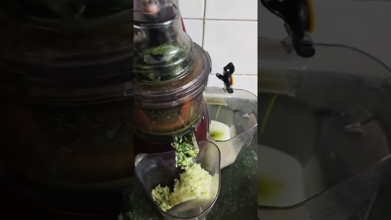 Juicing Bottle Gourd Lauki Juice in the Hestia Cold Pressed Juicer
