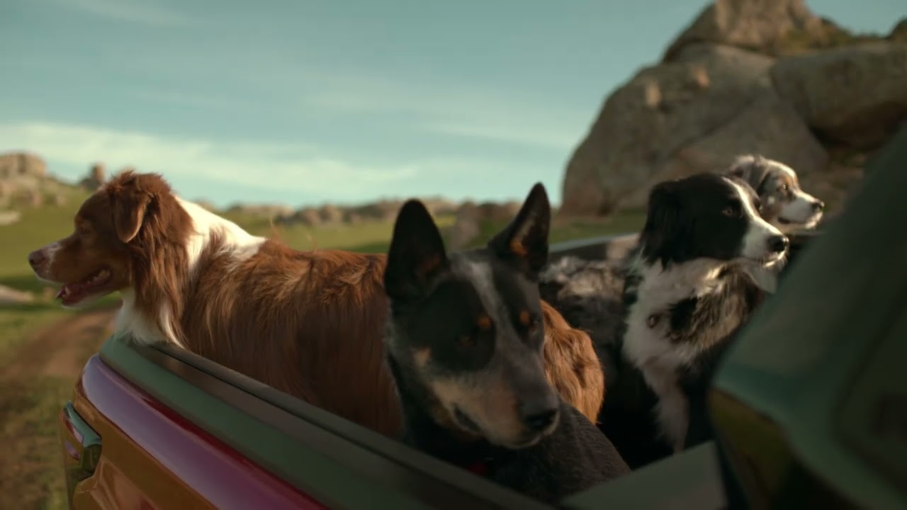 Toyota | HiLux | The Pied Piper