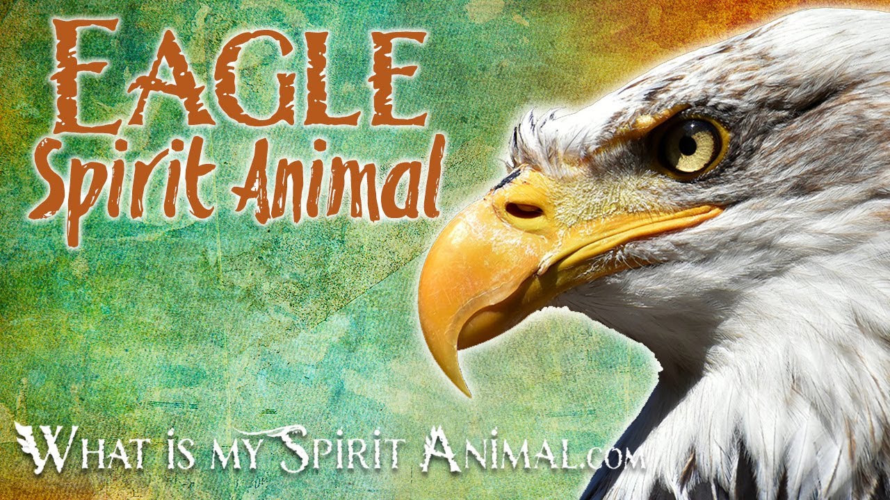 Eagle Spirit Animal | Eagle Totem, Power Animal | Eagle Symbolism & Meanings