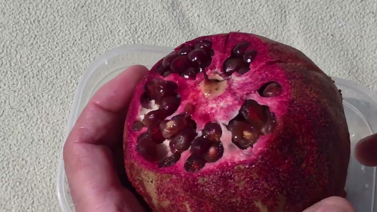 Respect #ASMR 55 fruit breakfast by the sea, with the sound of the waves in the background. 
