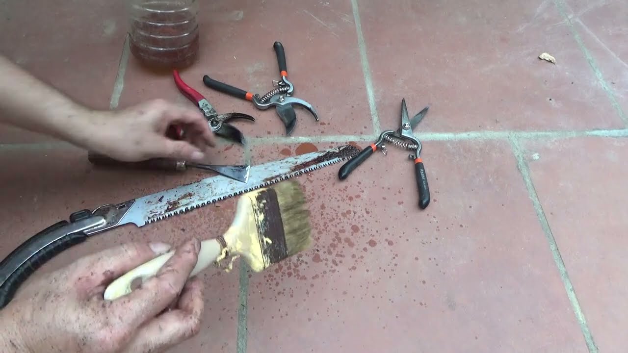 Cách tẩy nhựa cây trên dụng cụ bonsai