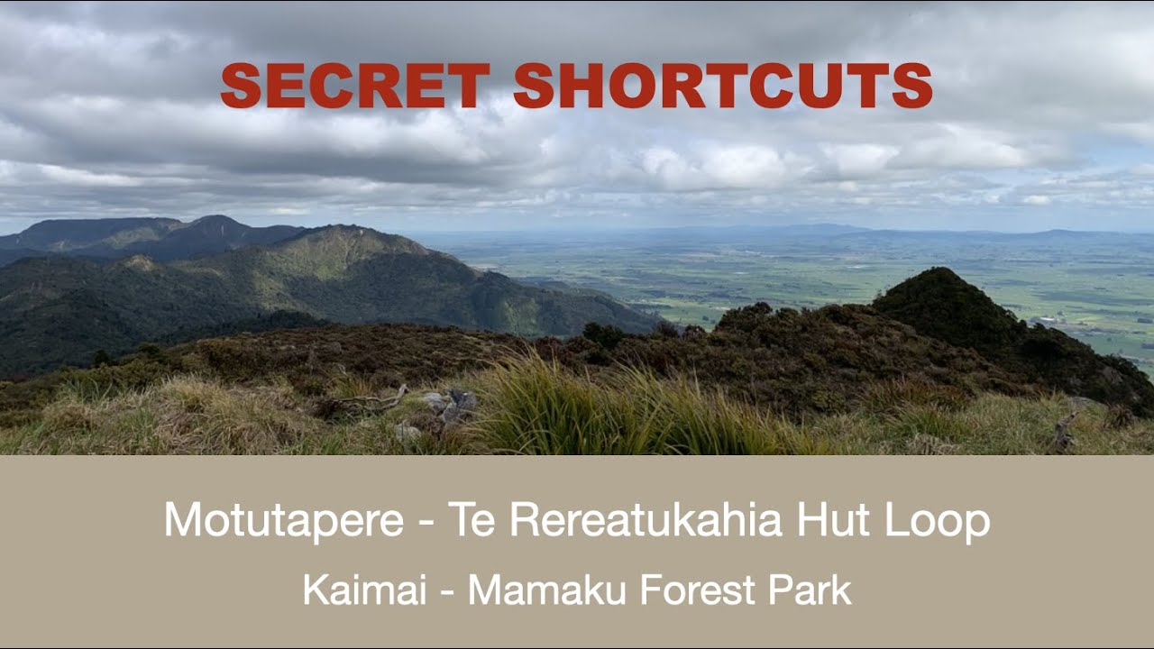 Best views on the Kaimai Ranges North-South Track - Motutapere and Te Rereatukahia Huts Day Walk
