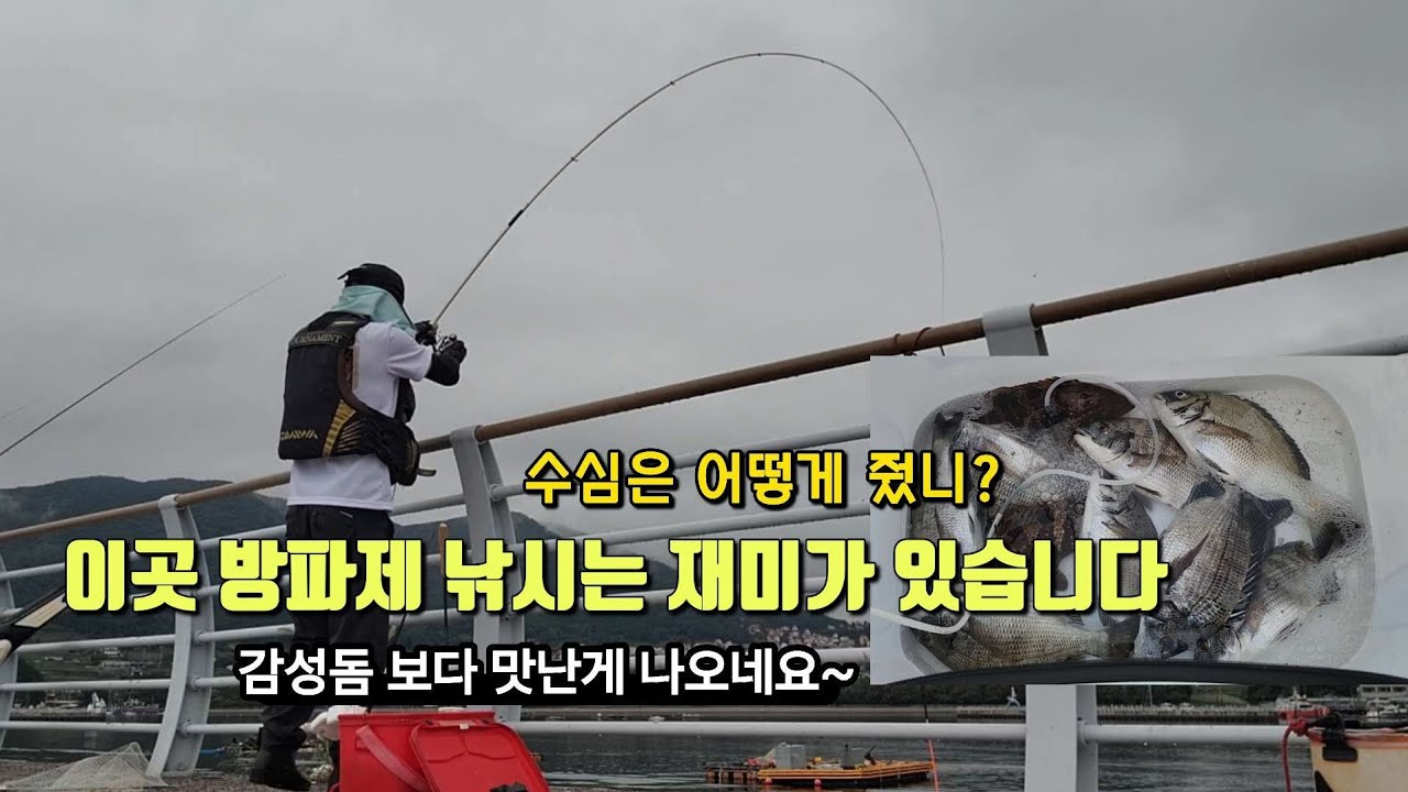 지금 제일 핫한 방파제~이곳은 이제 부터 시작입니다~감성돔 보다 귀한게 막나오네요