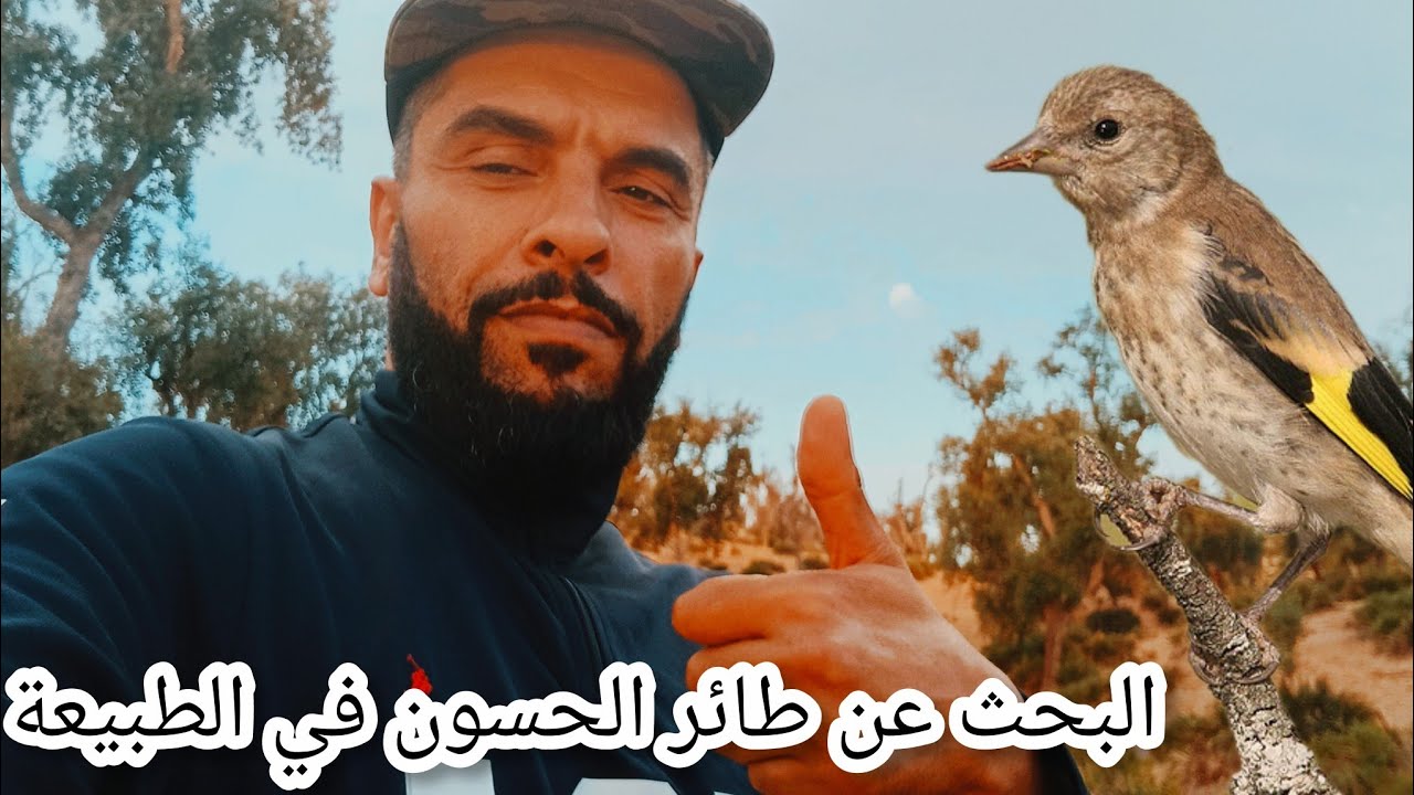 جول في الطبيعة للبحث عن طائر الحسون مع معلومات للمتابعين تحياتي للجميع فرجة ممتعة ❤️💯