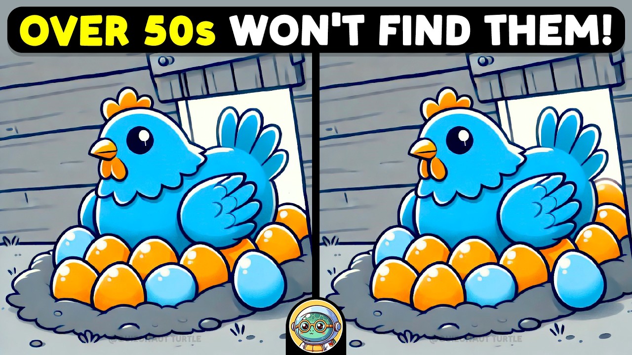 🐢🧩 Find 3 Differences | Find the Hidden Details 🧩🐢 | Quizonaut Turtle