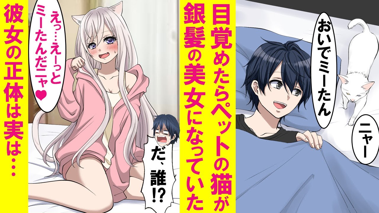 【漫画】目覚めると一緒に寝てたペットの猫が銀髪の美女に。俺「誰？」美女「神様が特別に人間の姿にしてくれたニャ」→ありえない設定を信じたフリして同棲を続けた結果…【恋愛漫画】