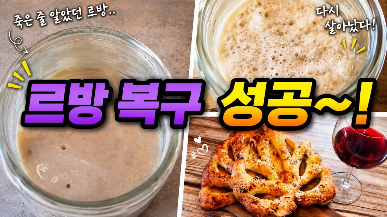 오랜기간  방치된 르방 살릴수 있을까?( 르방관리 꿀팁 공개)