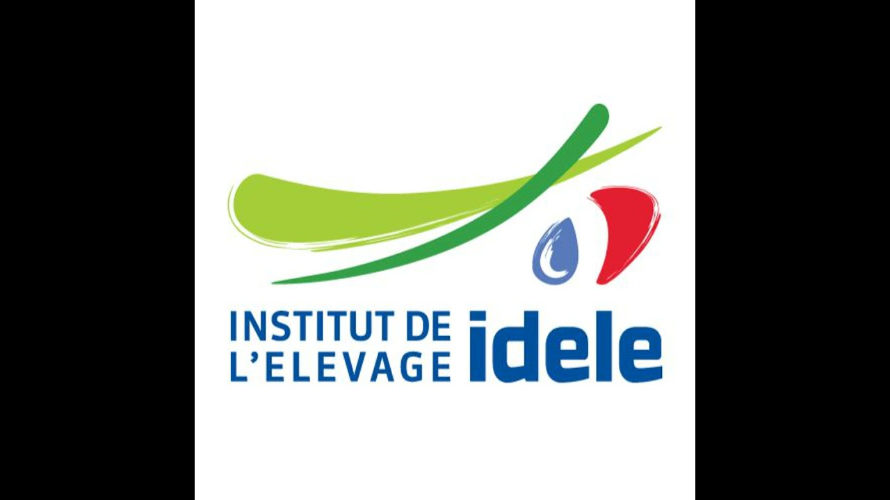 21. Le Jeu des  1000 biquettes !
