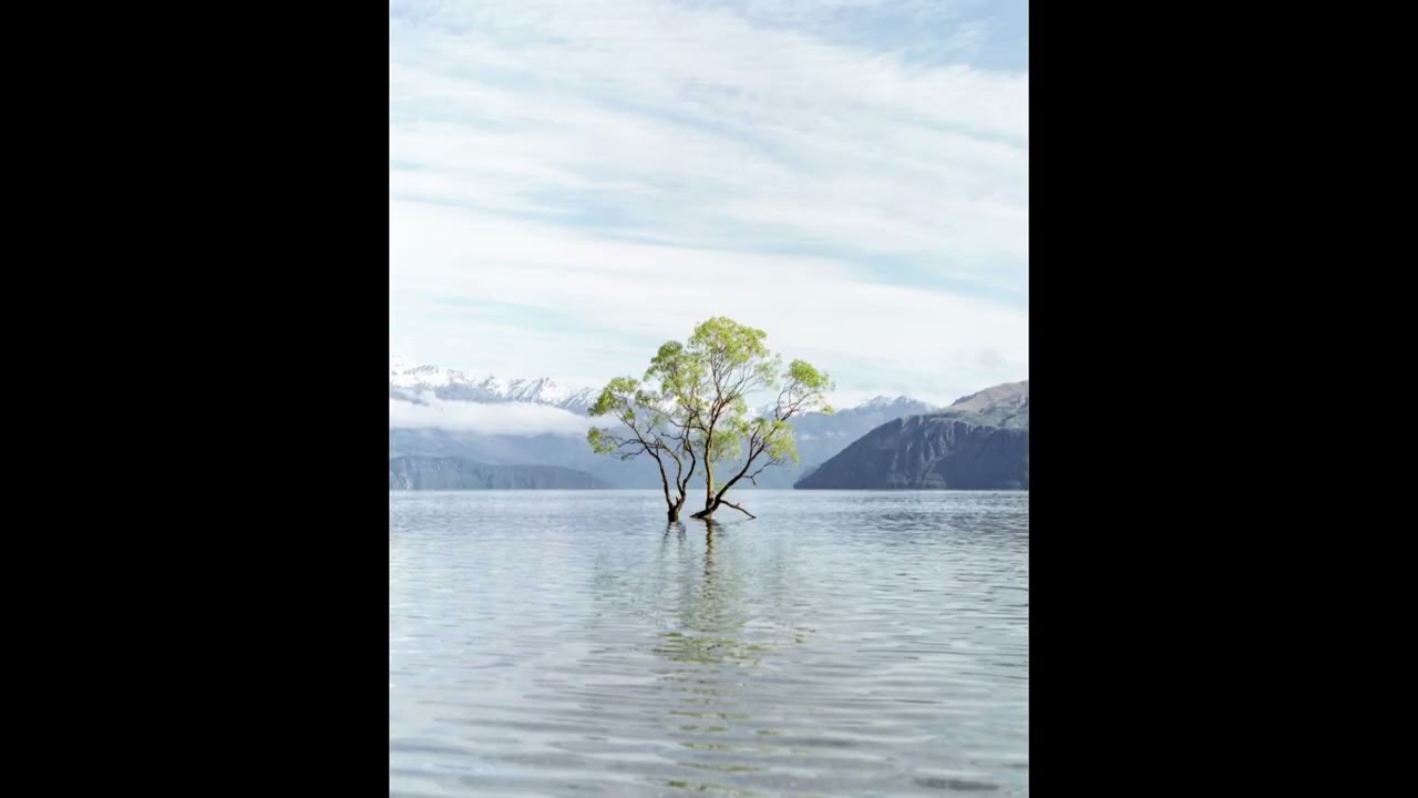 [FREE] Acoustic Indie Folk Type Beat - 