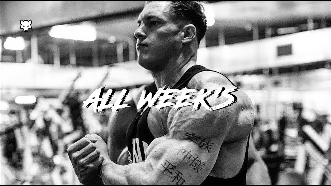 BAD WOLF 🐺 - ALL WEEK'S