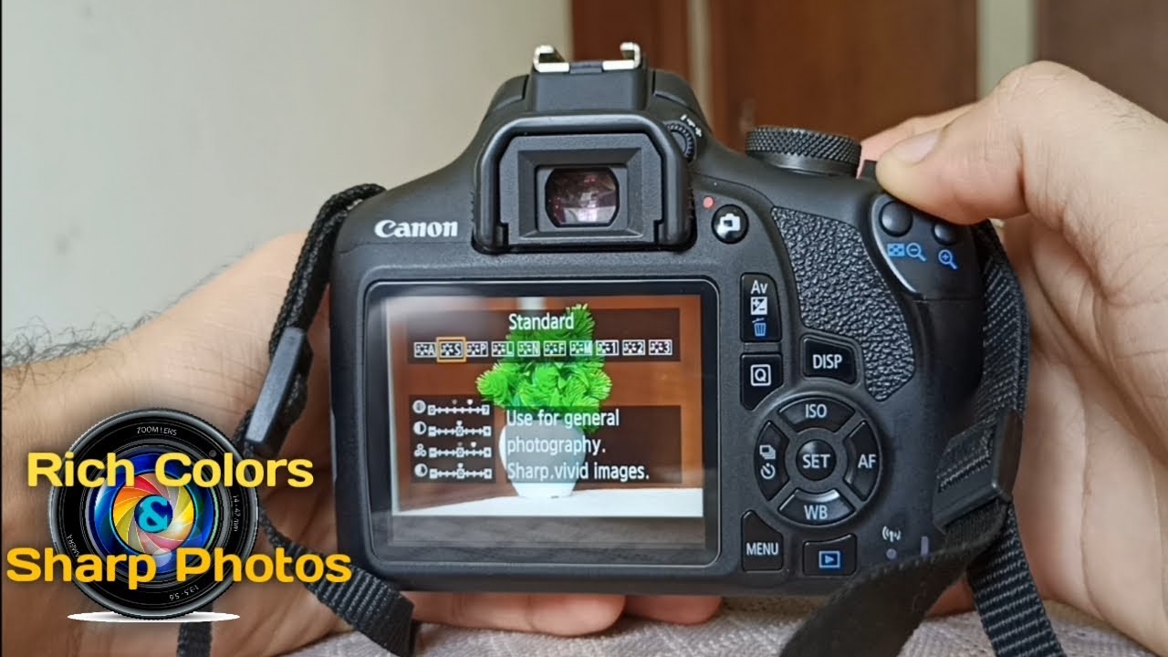 Top Camera Settings To Click Rich Colors & Sharp Photos | Picture Style Settings | Canon 1500d