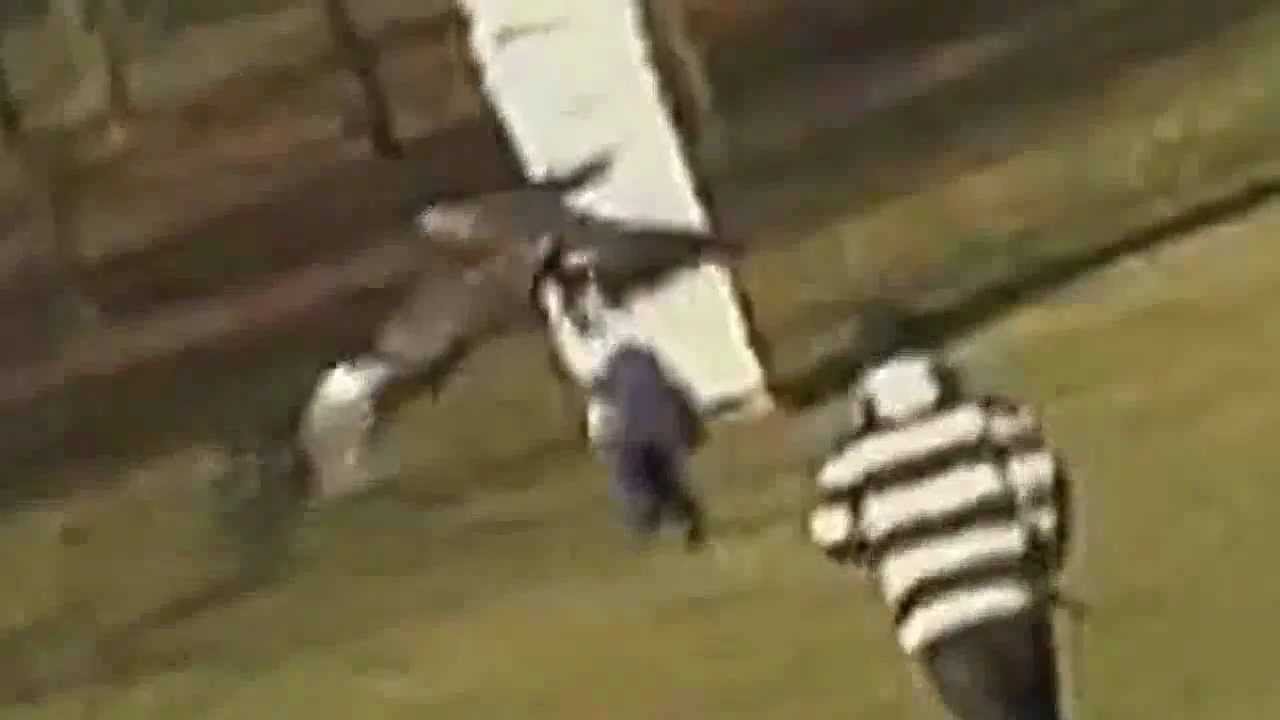 Golden Eagle Snatches Kid - fake footage