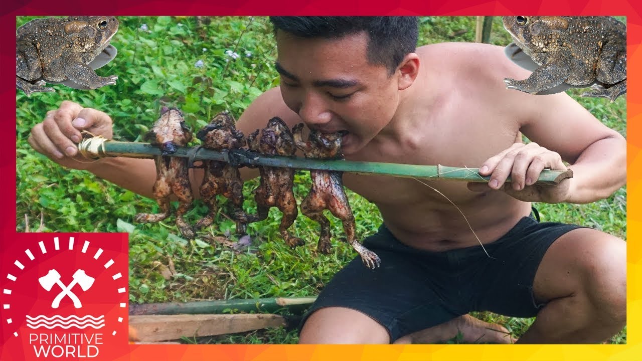 Primitive Technology: Find Frogs in Forest - Grilled Frog for Dinner and Eating Delicious