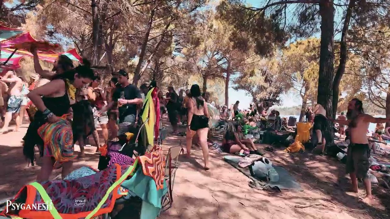One More Normal Day At Zna Gathering 2024 - Astral Projection  - The zambutemple stage