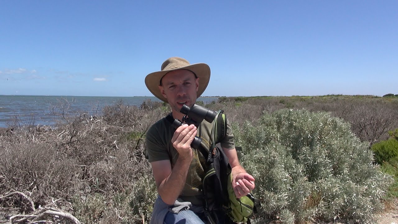 Birdwatching at Melbourne Water Western Treatment Plant presented by Matthew Crawford