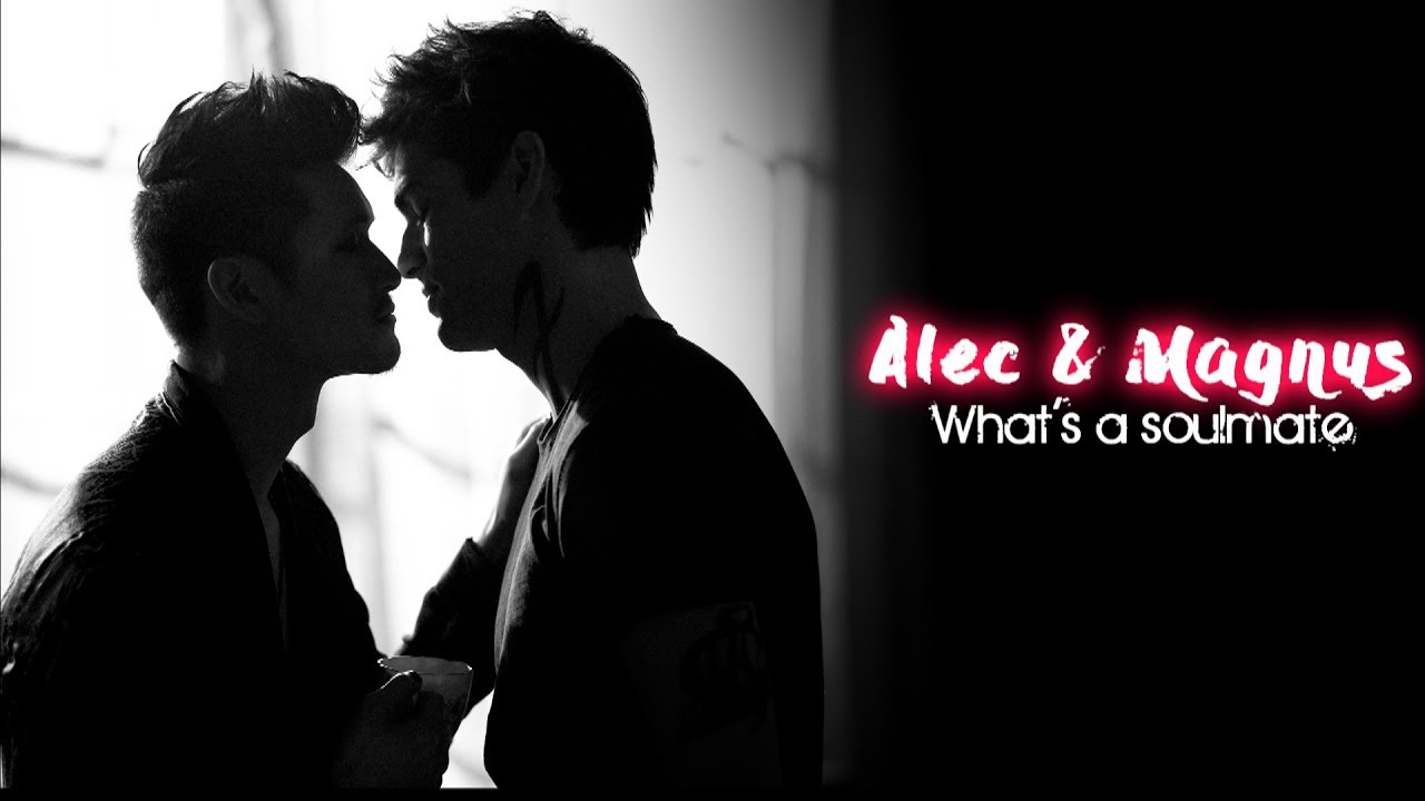 Alec & Magnus || What's a soulmate ?  [ + book quotes]