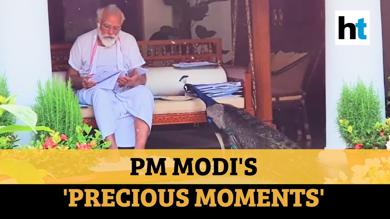 Watch: PM Modi feeds peacocks, shares poem on India's national bird