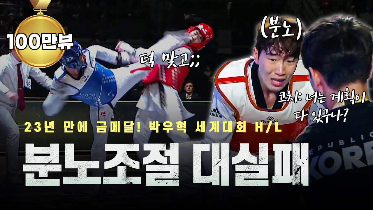 세계대회에서 턱 맞고 분노조절 실패한 한국 태권도 국대 ㄷㄷㅣTaekwondo World Champion KOR Woo-hyeok Park H/L