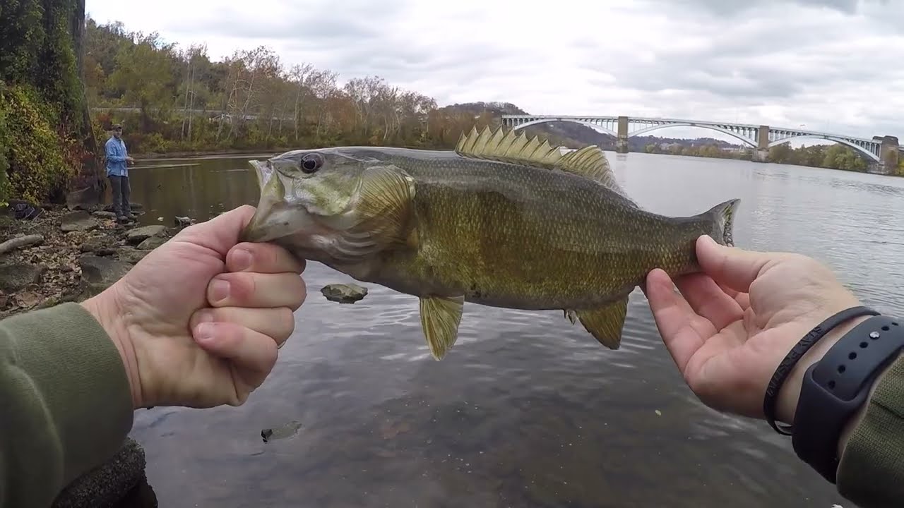 URBAN Fishing in PITTSBURGH - Smallmouth Bass with Light Tackle