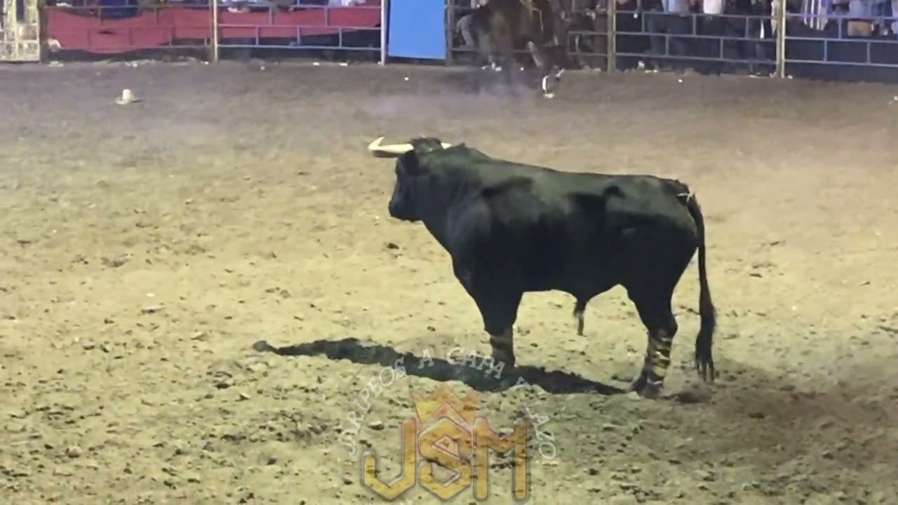 ☢️🔥Rancho el cristo negro patrón del mal vs arriesgados del zurdoixtlilco elgrandemorelos21/02/2026 
