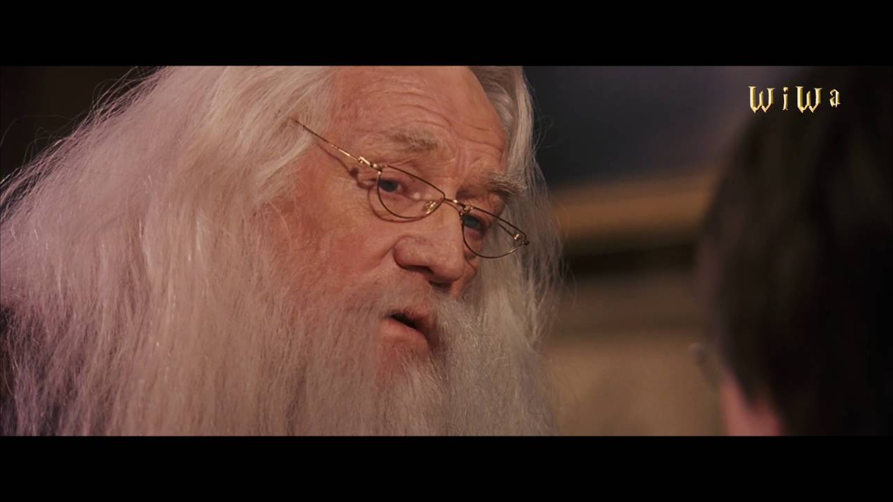Fresh Dumbledore feat. Hermi G - Dumbledore ist bei dir [WiWa Music Video] (HD)