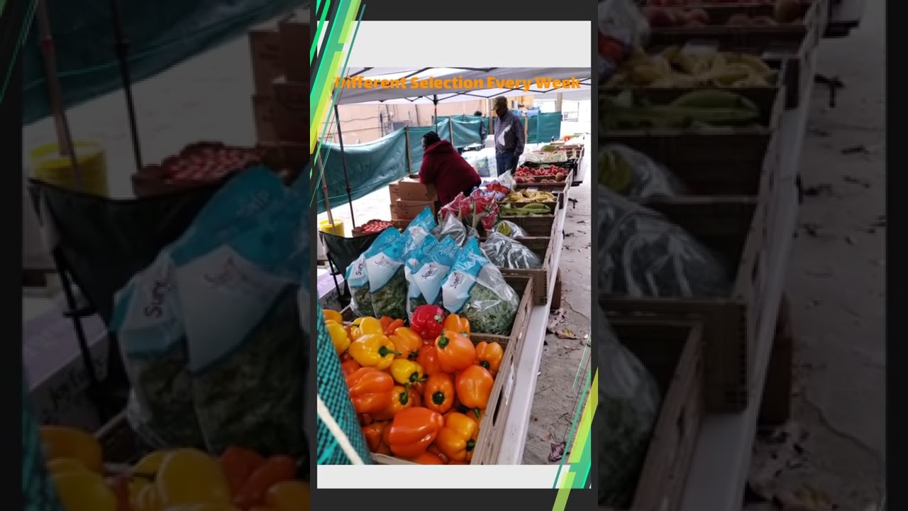 UPDATE: Food2Life Foundation's New Video Commercial