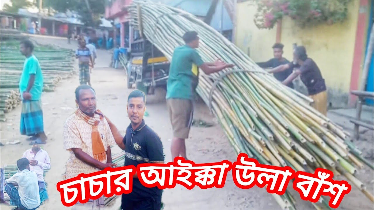 যাই বাঁশ বৌড়া বাঁশ বেতু বাঁশ হবিগঞ্জ জেলা সুতাং বাজারে বিক্রি হচ্ছে পাইকারি ও খুচরা Bombo market