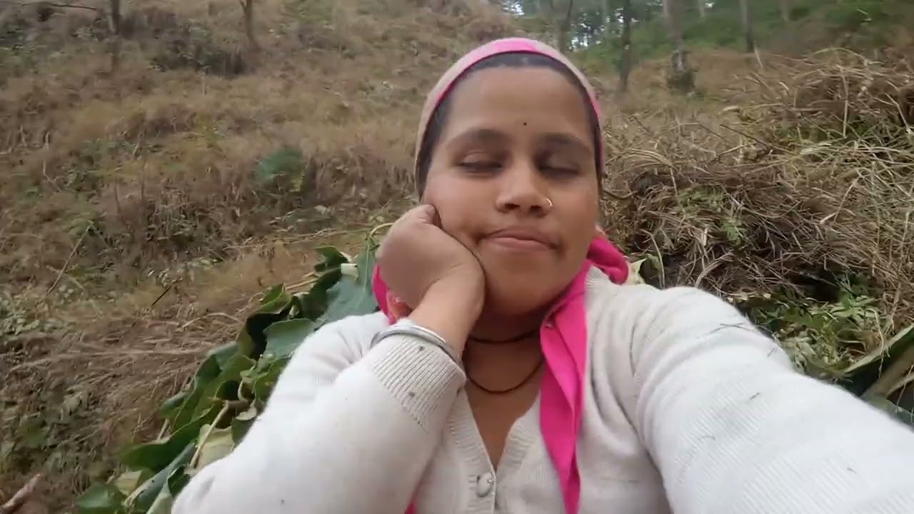 #jungle #subscribe #ghasevlog 