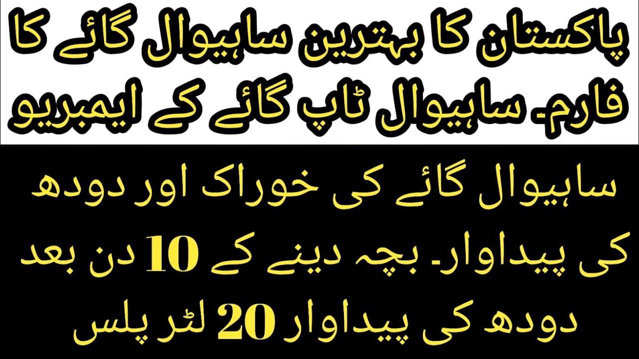 Pakistan best sahiwal cows II Sahiwal cattle milk and feed expenses II Sahiwal cattle embryos