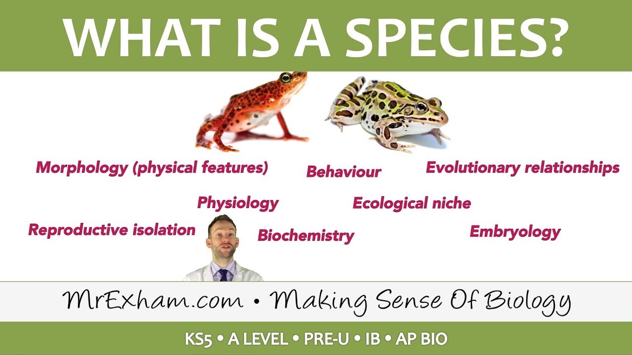 Classification - Species Concepts - Post 16 Biology (A Level, Pre-U, IB, AP Bio)