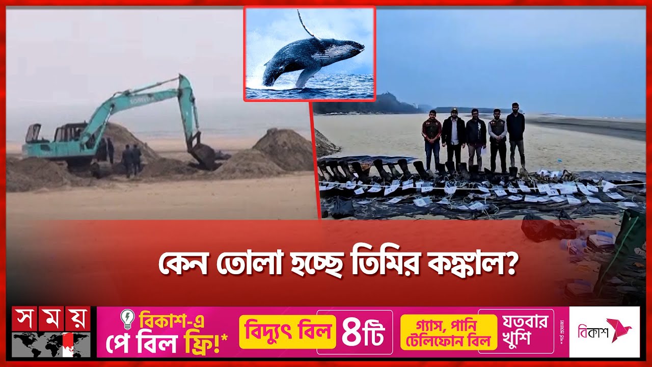 ২০ ফুটের গর্তে মিলল তিমির কঙ্কাল | Whale Skeleton | Cox's Bazar News | Somoy TV