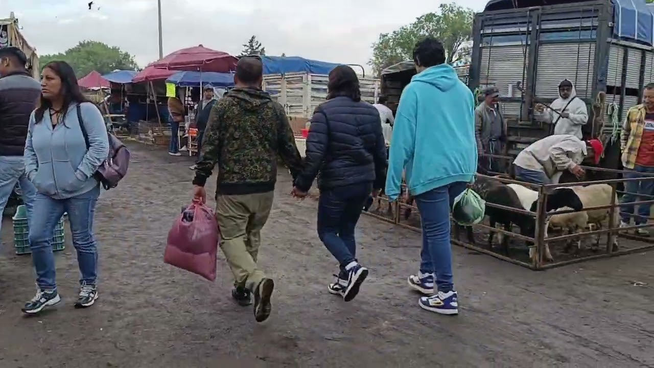 Tianguis de ganado Chalco estado de México 