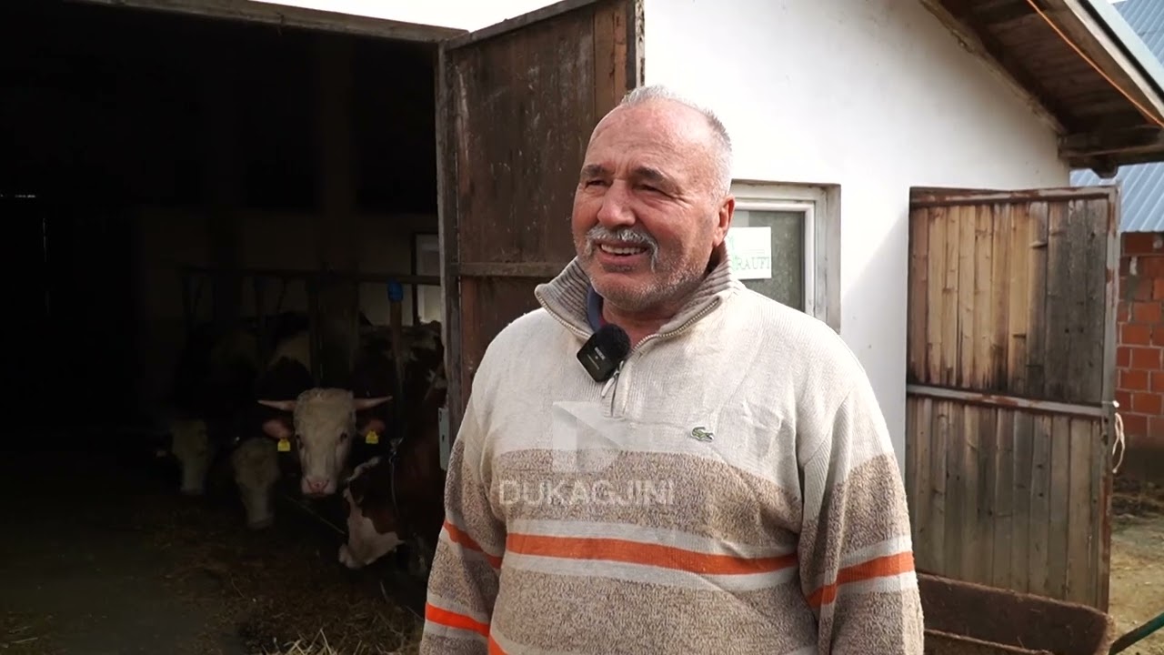 “Këtu ma mirë ska, me m’ thanë në qytet me shku” // Dëgjojeni historinë e fermerit nga Podujeva.