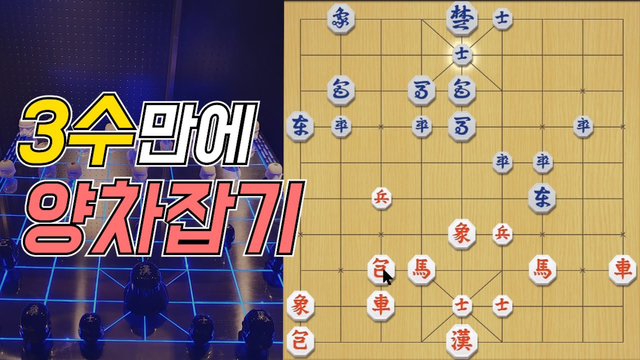 양차?ㅋㅋ
