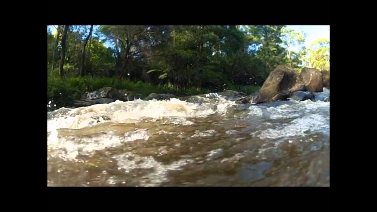GoPro: Everything
