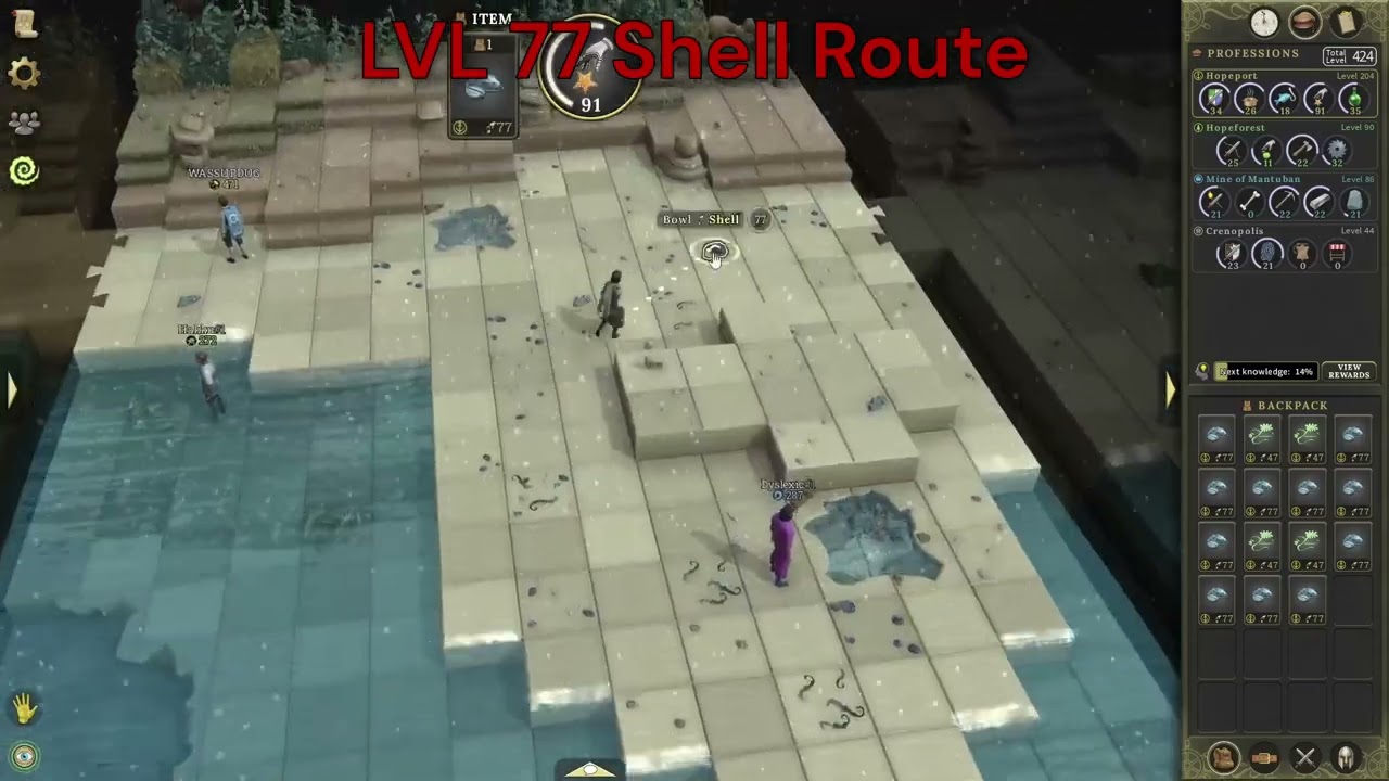 Brighter Shores Foraging Routes