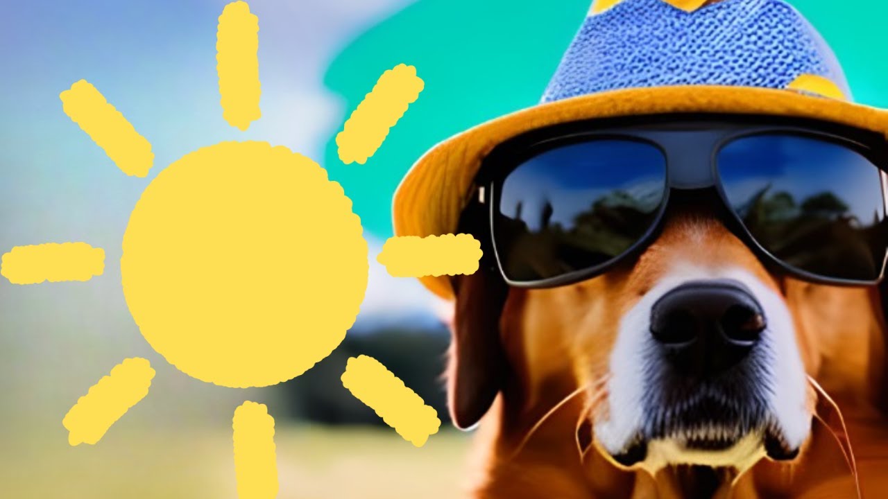 Dog Sunscreen Recipe Homemade ☀