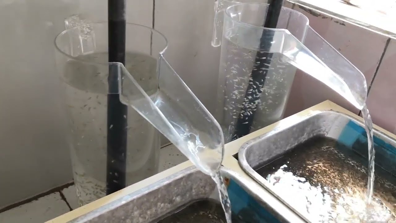 For Commercial Aquaponic Projects, contact Farm Tech Consultancy