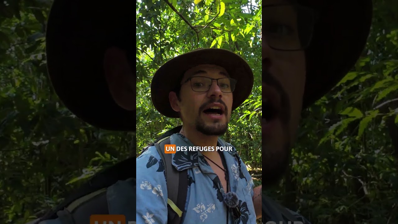 Je visite un &eacute;cosyst&egrave;me unique au monde !