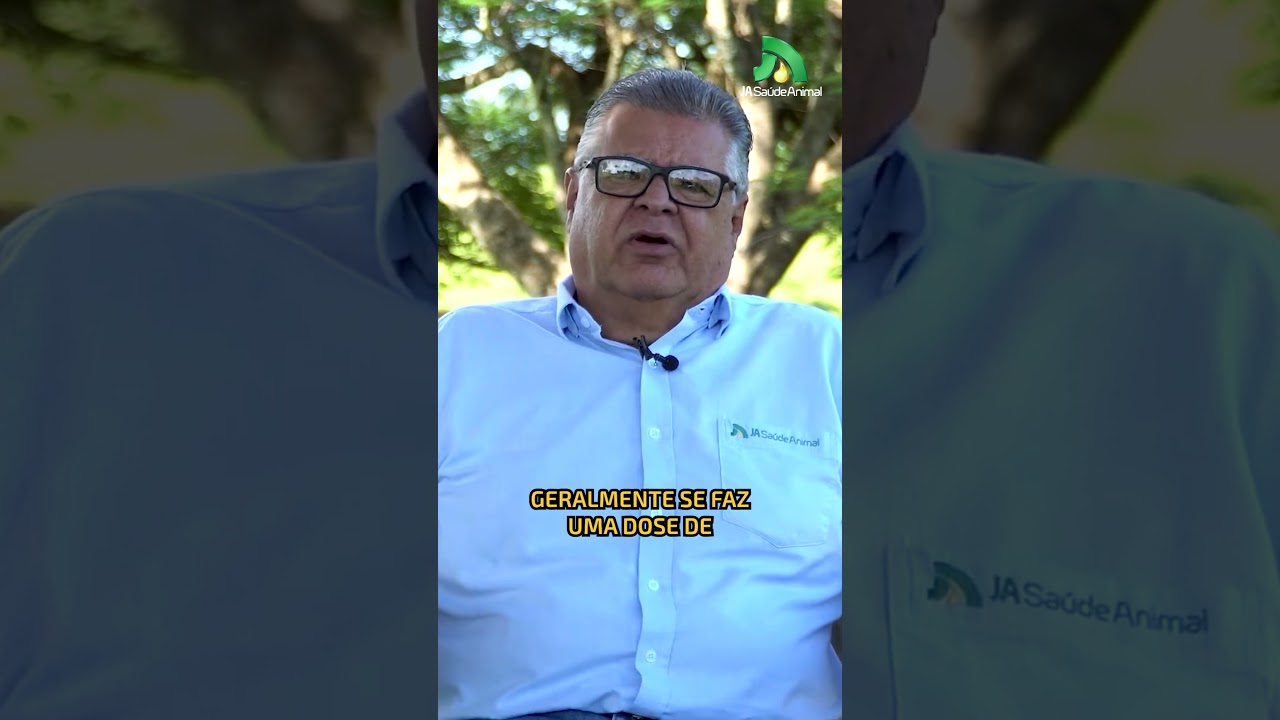 Formas de preven&ccedil;&atilde;o da Adenite Equina #Adeniteequina #JASa&uacute;deAnimal #JAOnline