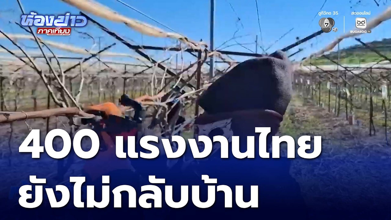 แรงงานไทย 400 ชีวิต ในอิสราเอลยังไม่กลับบ้าน | ห้องข่าวภาคเที่ยง