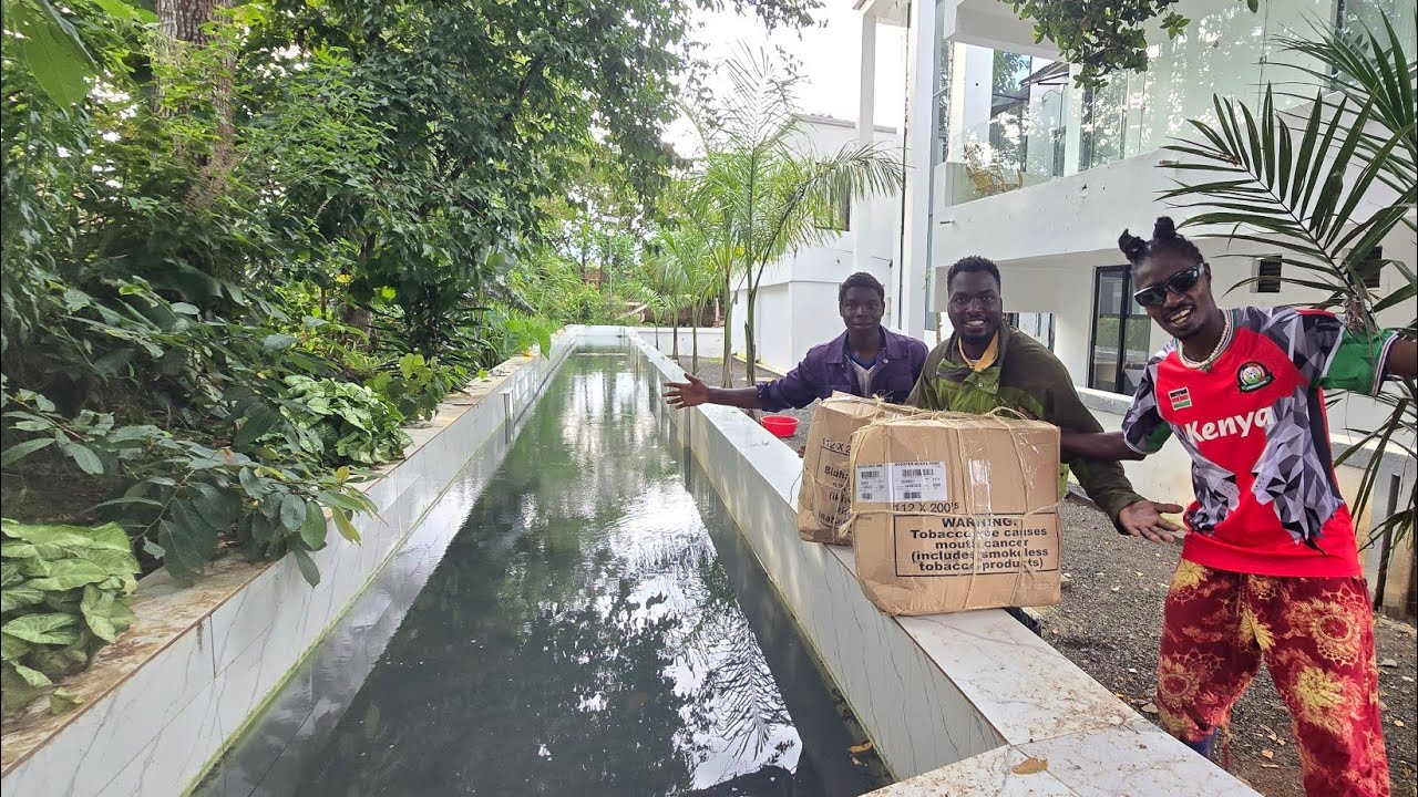 A Luxury EXPENSIVE PACKAGE HAS ARRIVED in the Villa  !!!
