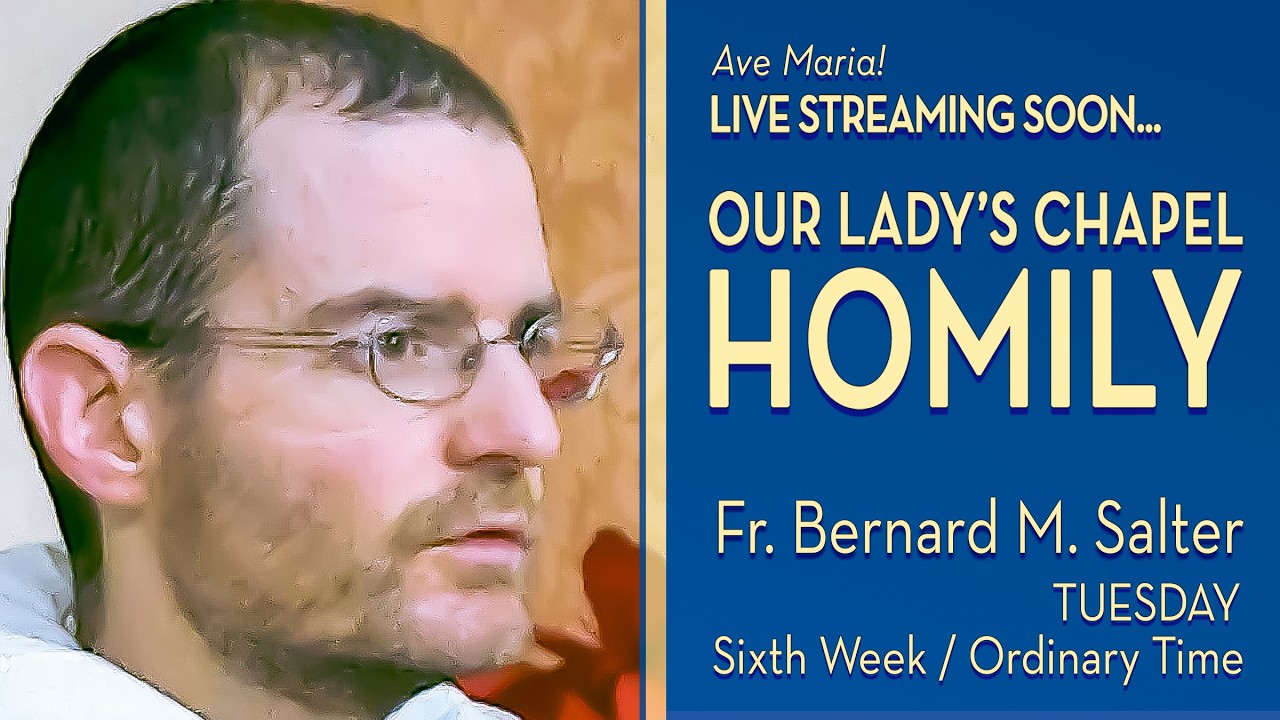 Tuesday of the Sixth Week in Ordinary Time - February 17, 2026 - OLC HOMILY